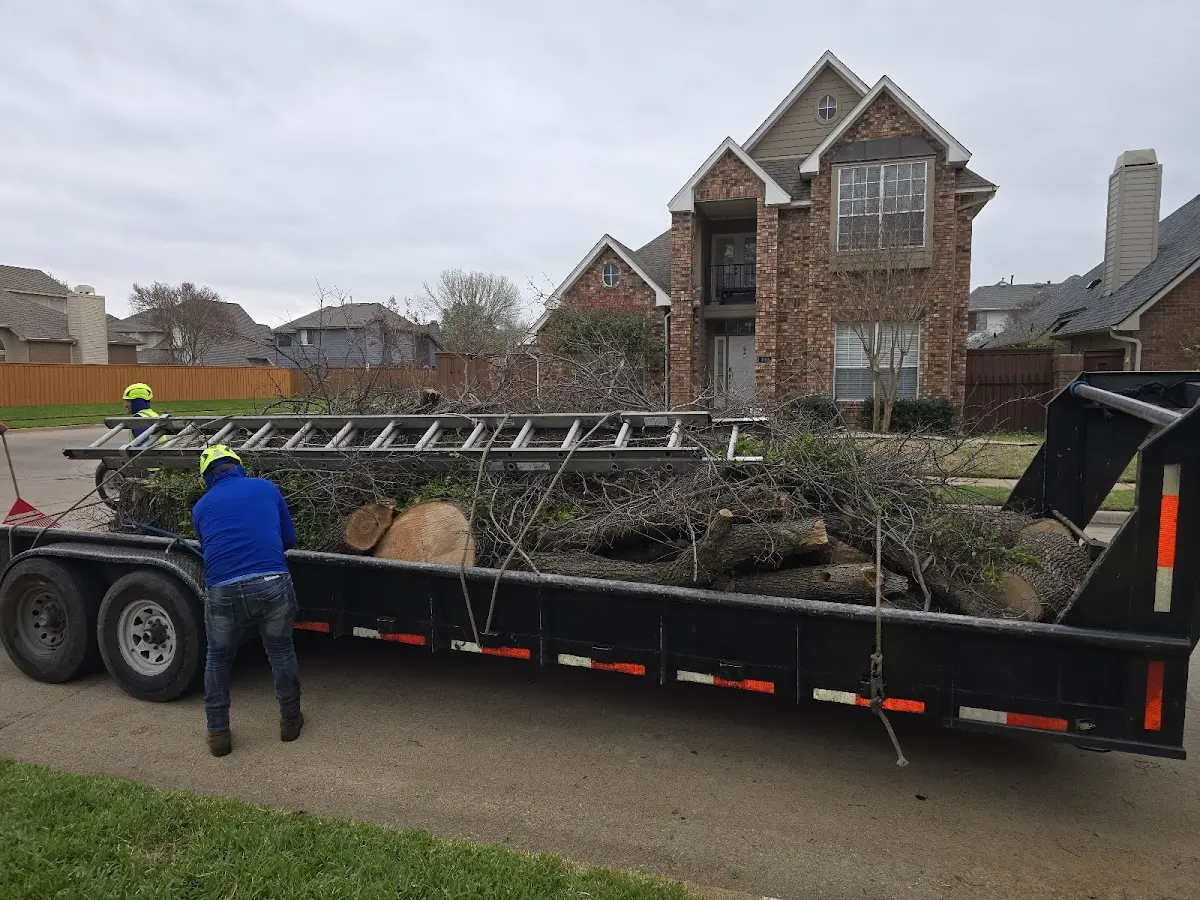 Expert Tree Fertilization with proper safety equipment in Gantt